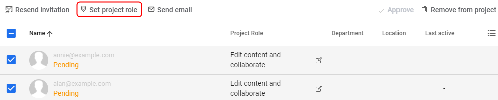 set_project_role.png